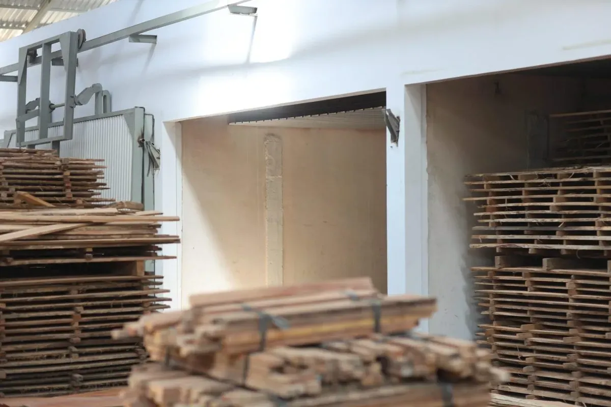 Stacks of wooden planks in drying facility