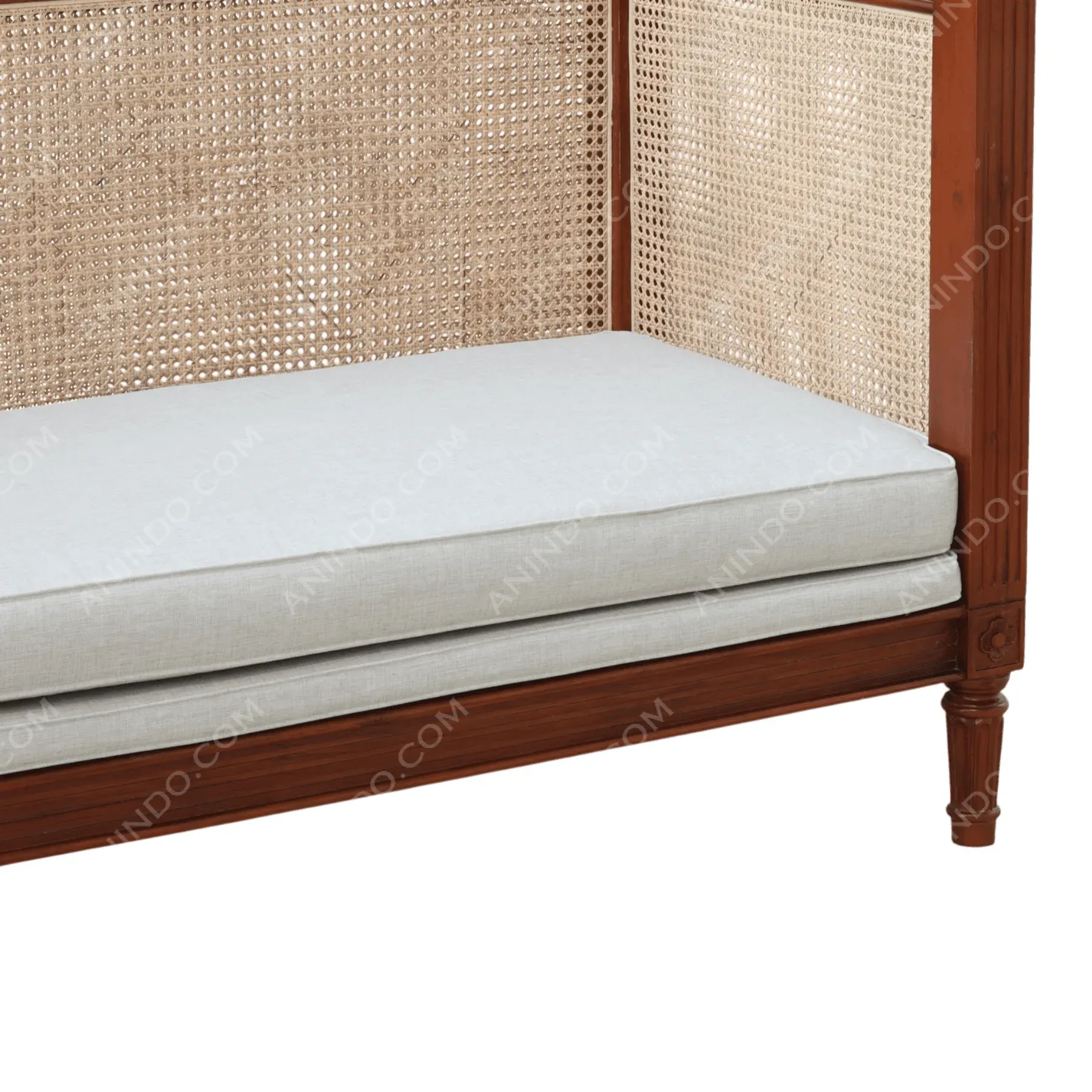 Roman Settee with Cane and Upholstery - Image 4