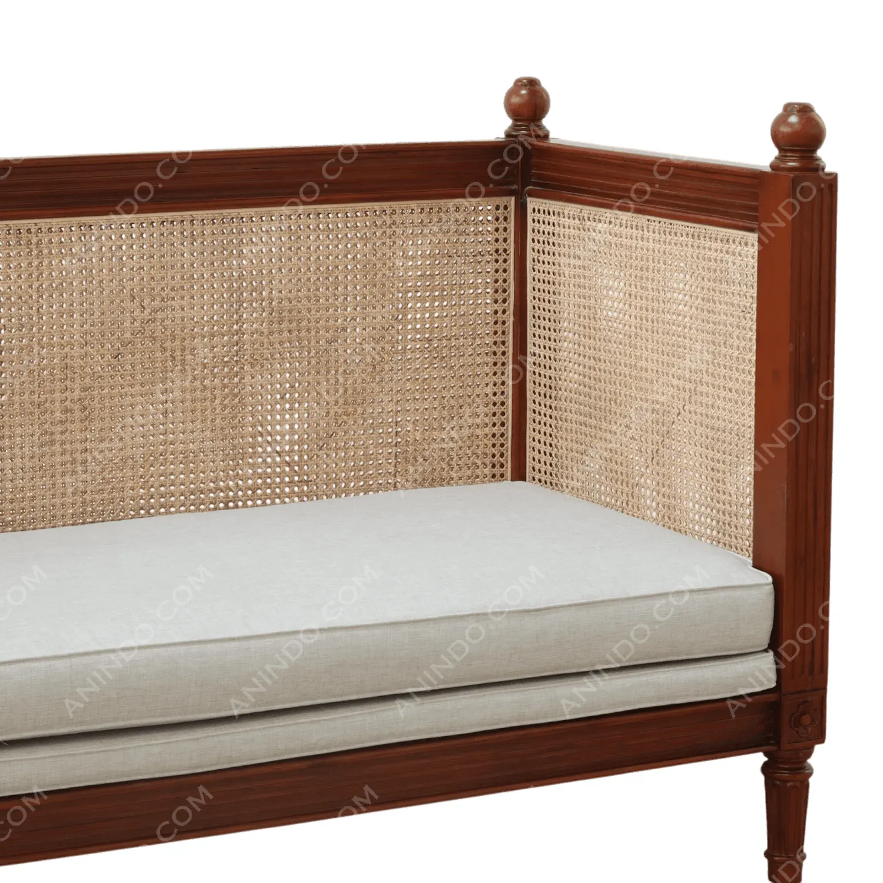 Roman Settee with Cane and Upholstery - Image 5