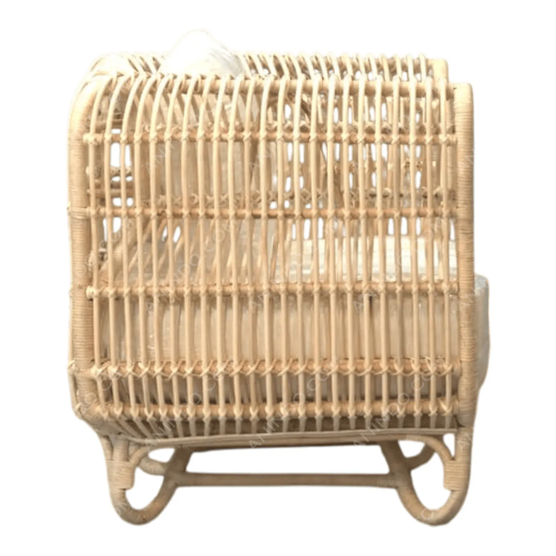 Side view of rattan armchair with cushion