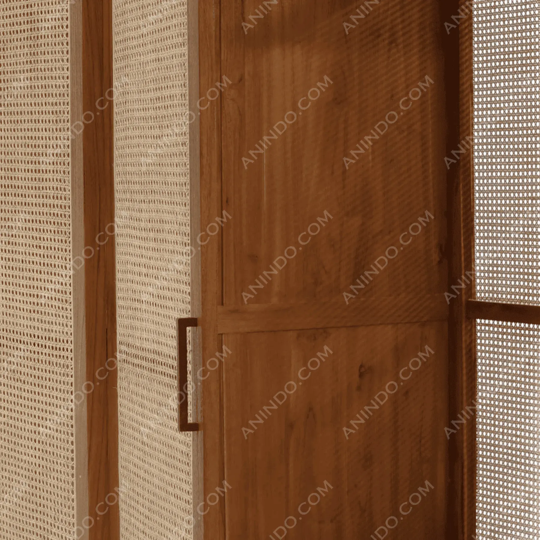 Wooden door with cane panel design