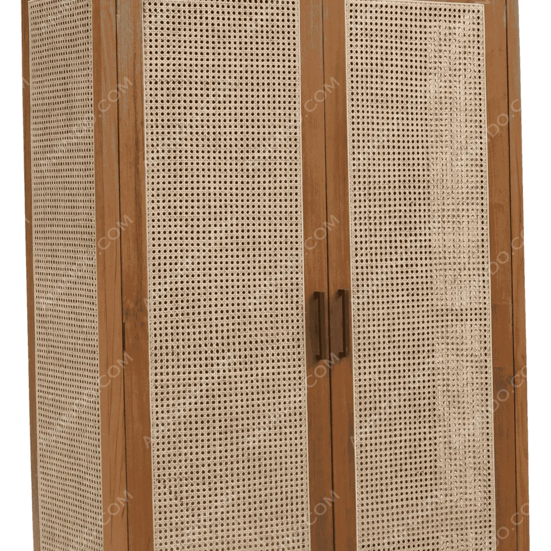 Wooden cabinet with rattan doors