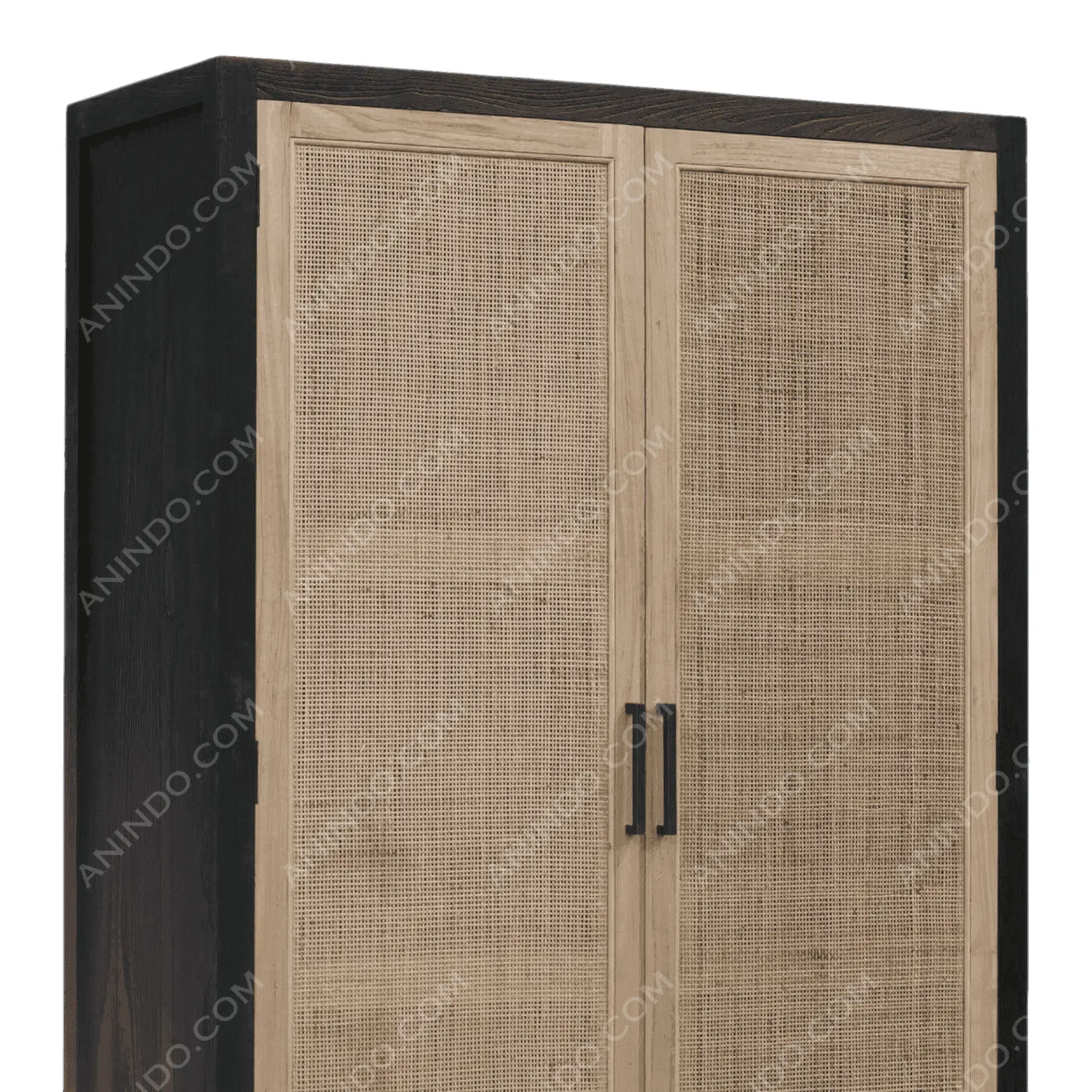 Wood and rattan two-door cabinet