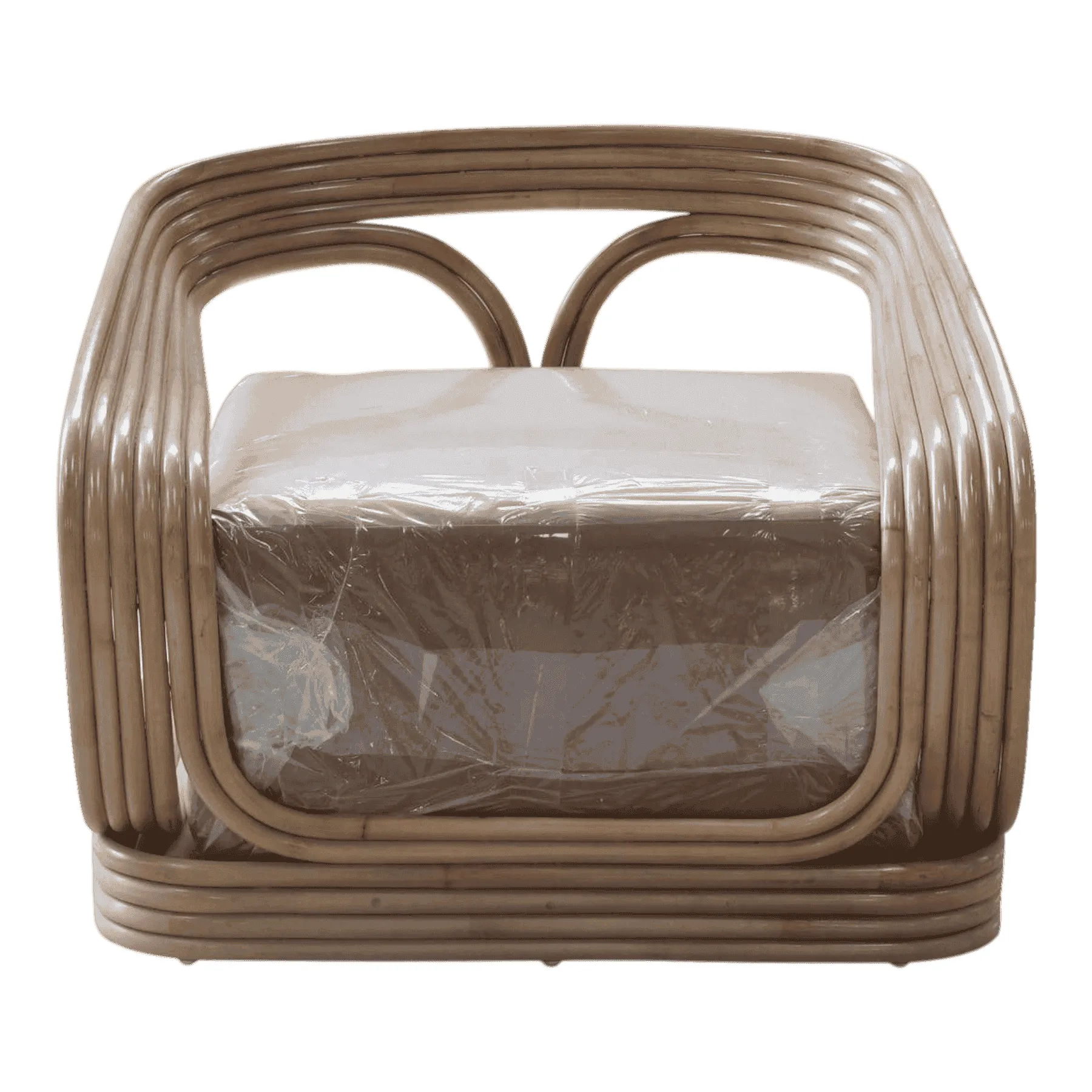 Modern rattan armchair with cushion