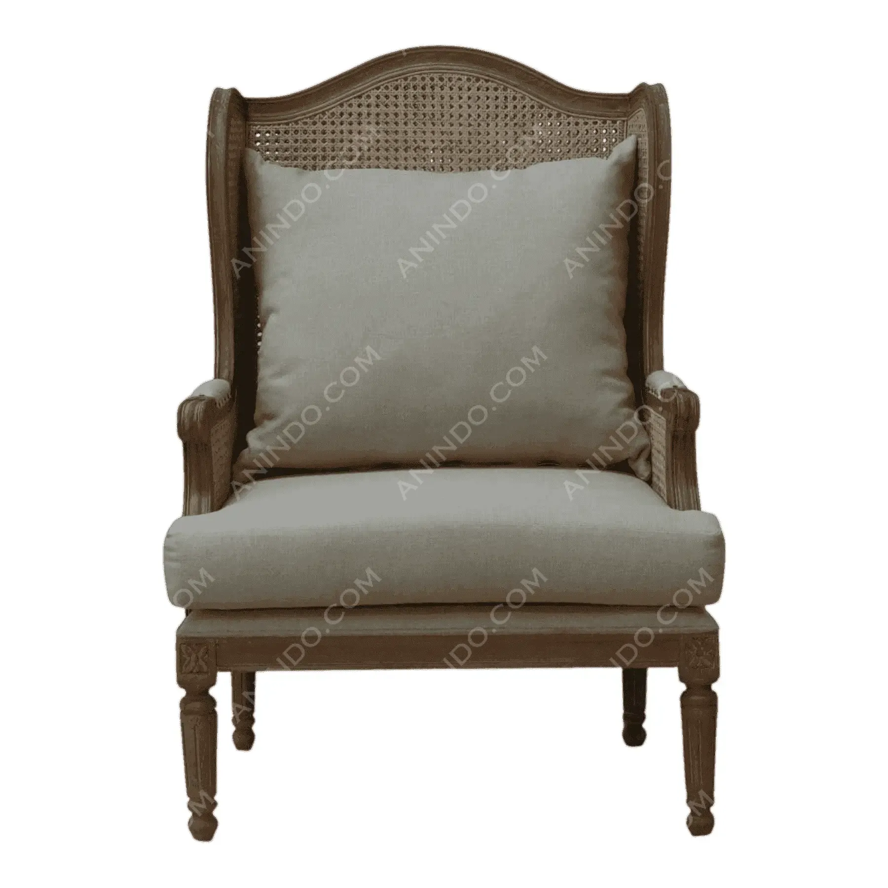 Provence Cane Wingback Chair