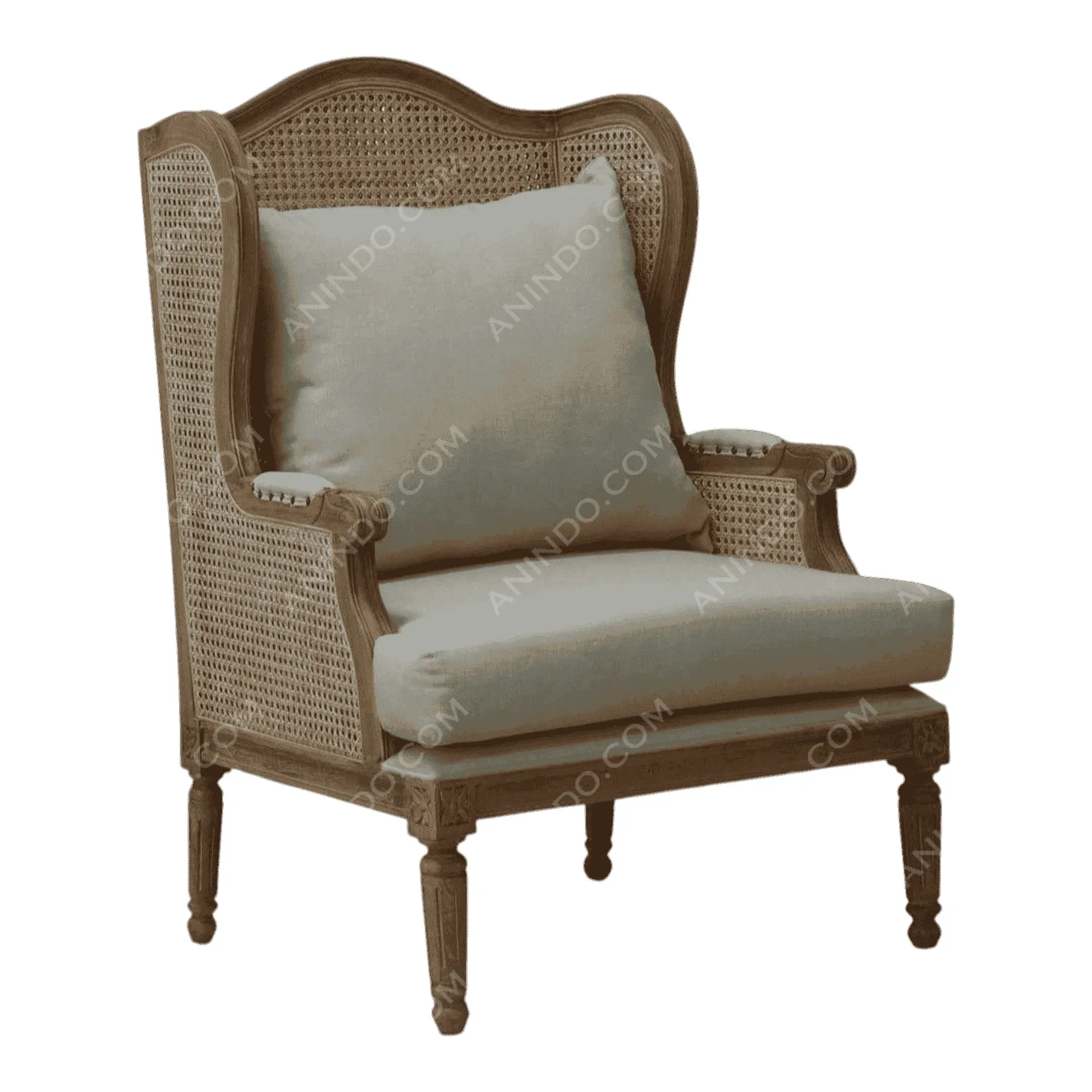 Provence Cane Wingback Chair - Image 2