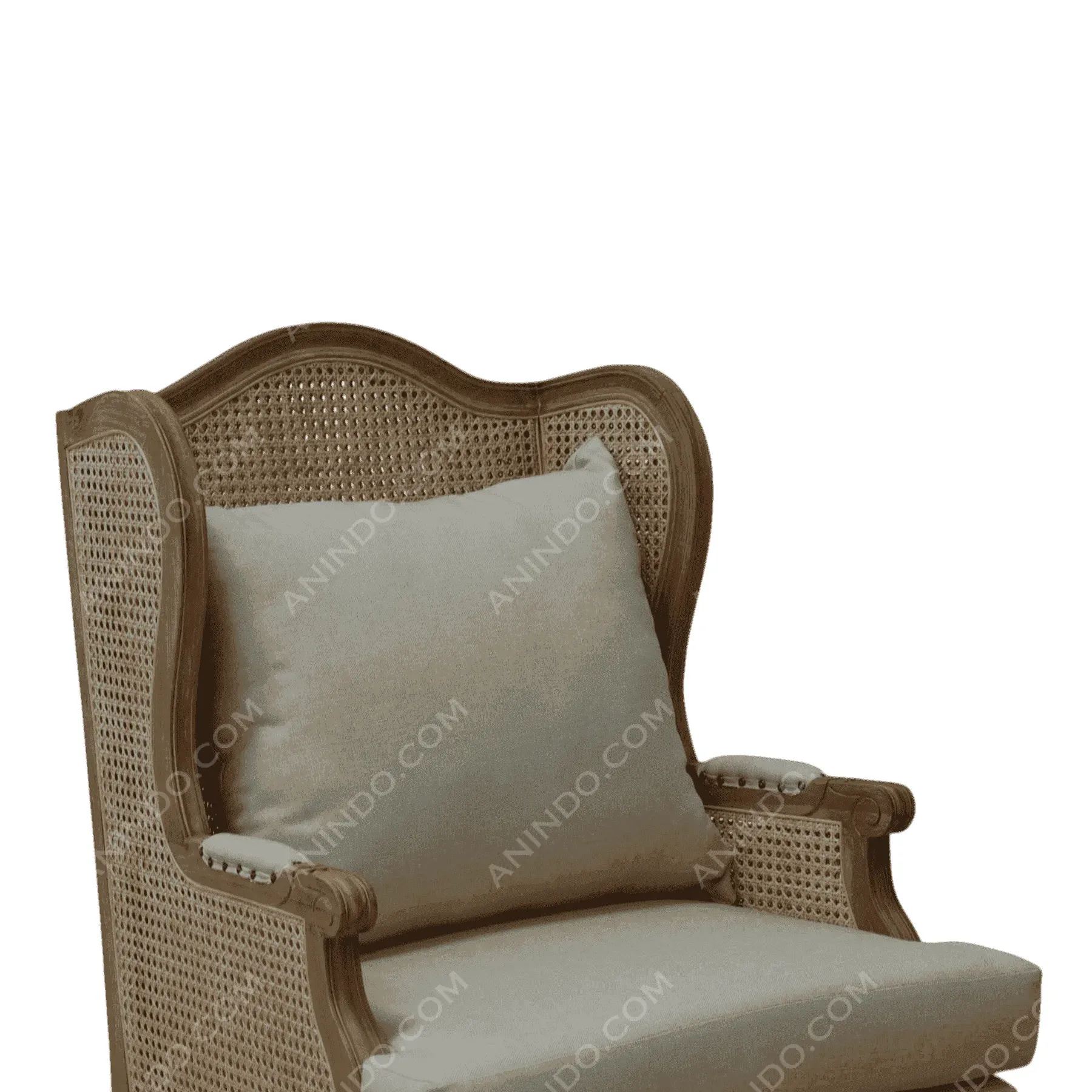 Provence Cane Wingback Chair - Image 3
