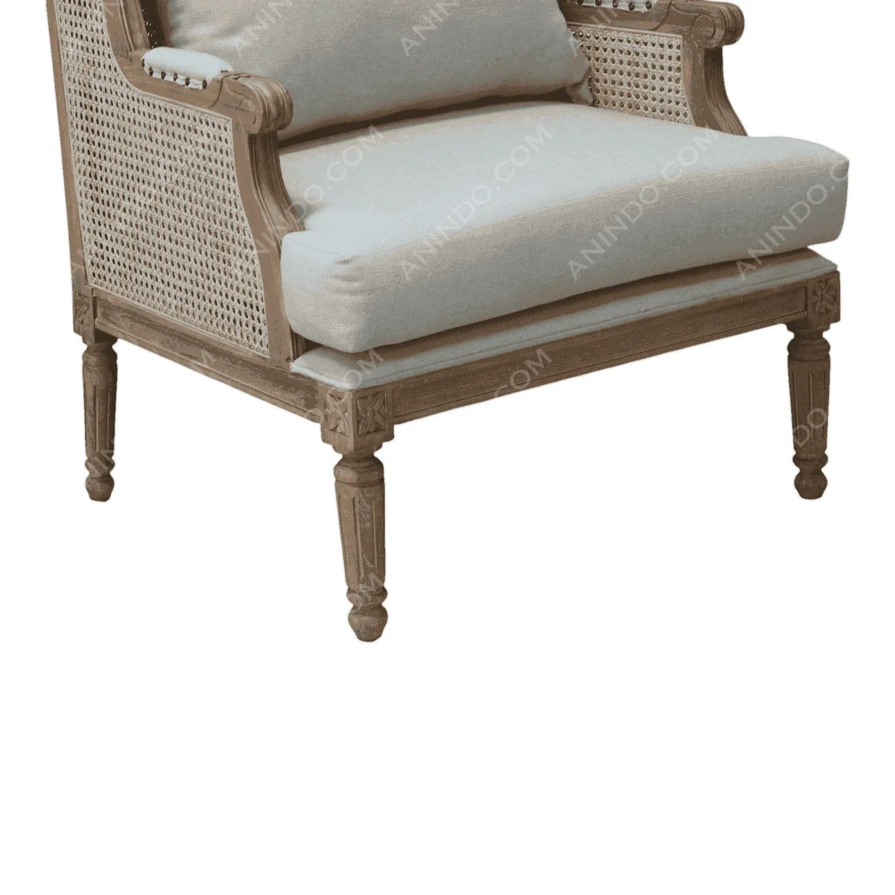 Provence Cane Wingback Chair - Image 4