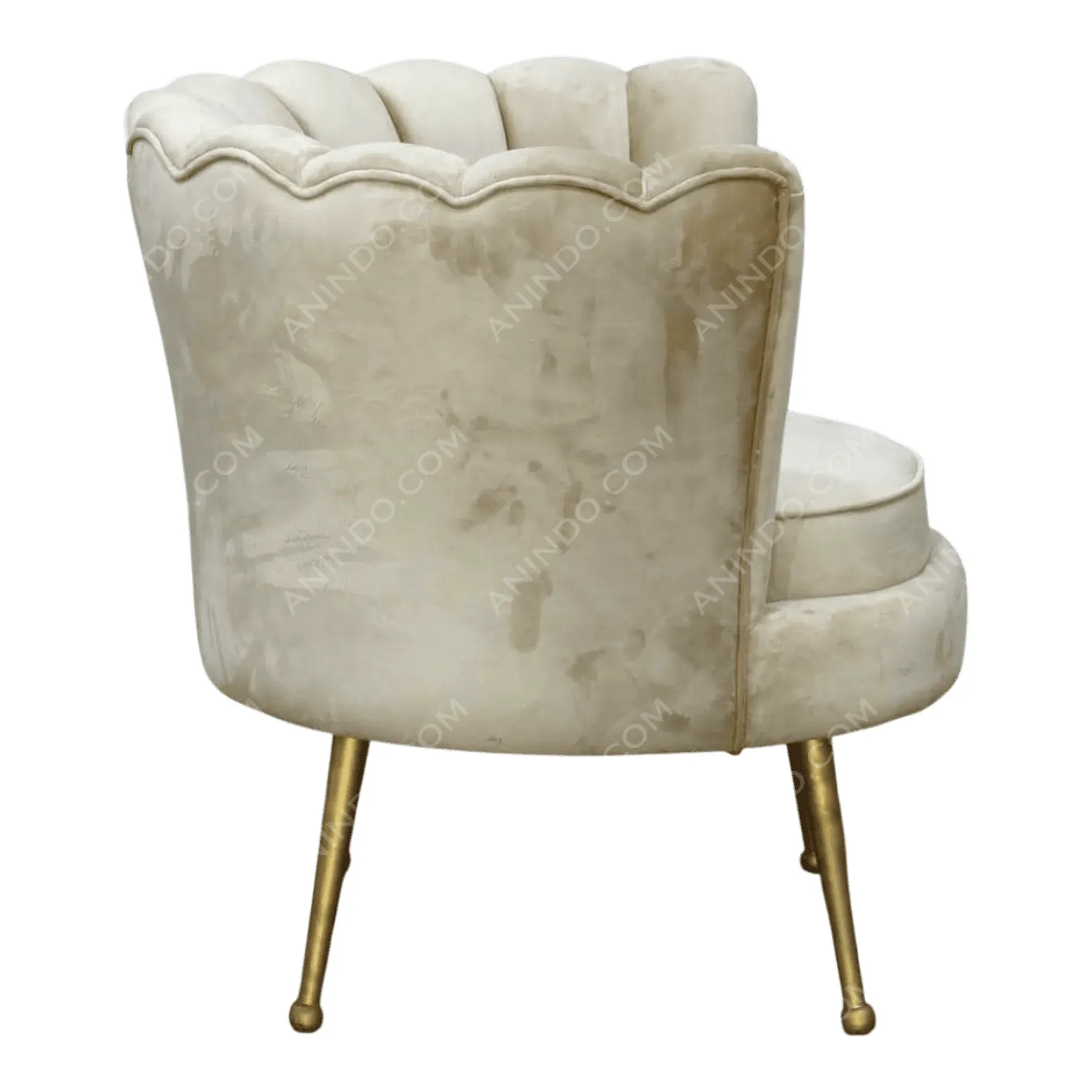 Venus Scallop Armchair - Image 3